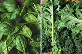 Group which is green leafy vegetables(spinach ,greens , kale &...).jpg